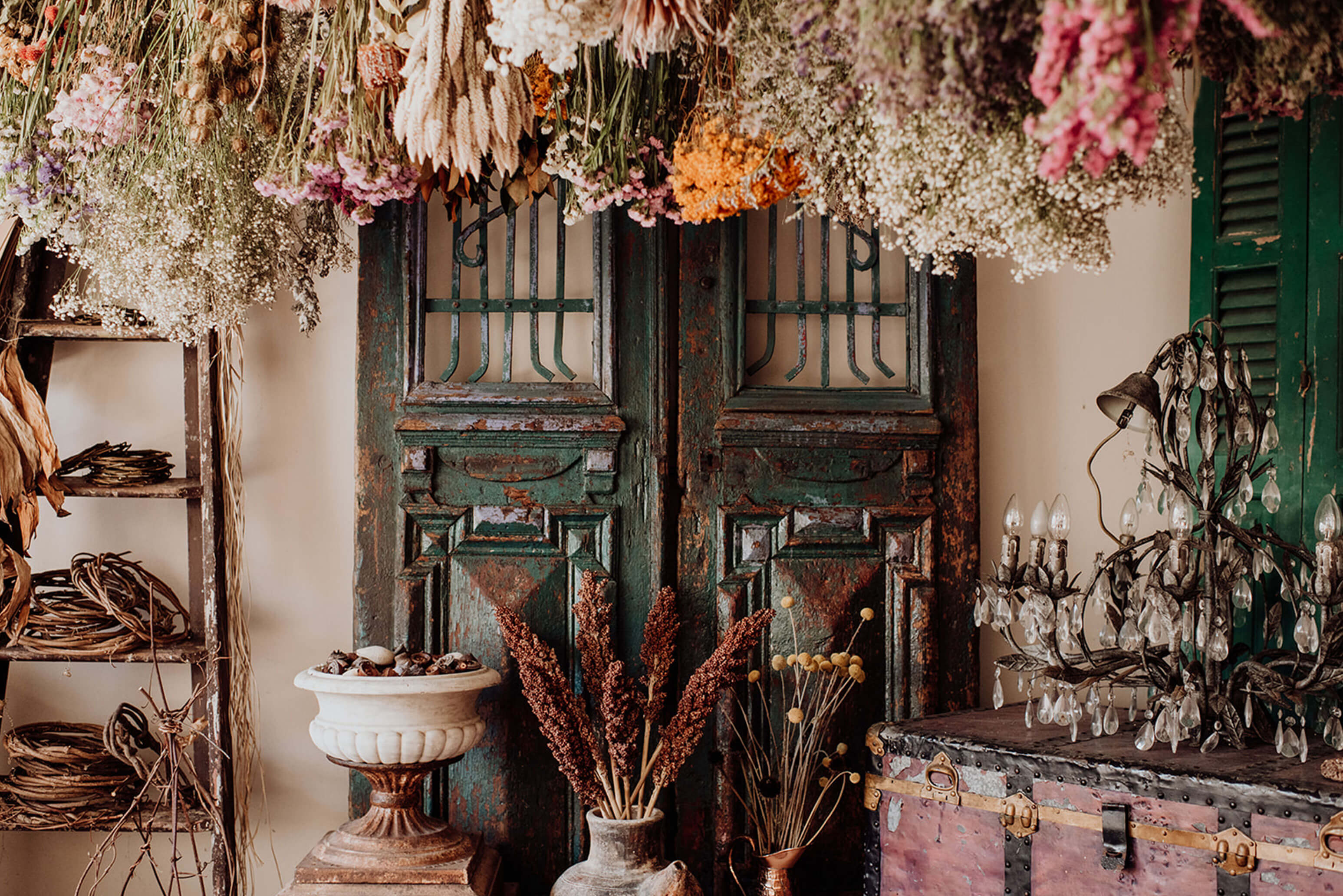 Know the Rose, Dried Flowers Australia