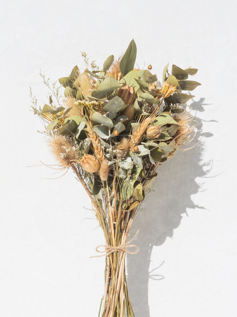 Know the Rose, Dried Flowers Australia